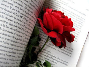 rosa n book